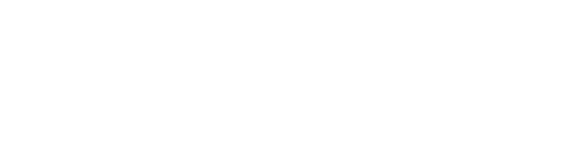 Domy Aktywnego Seniora